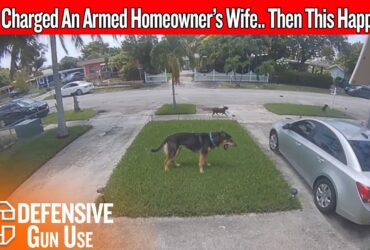 His Wife Was Trapped In The Driveway… Then He Came Back Armed