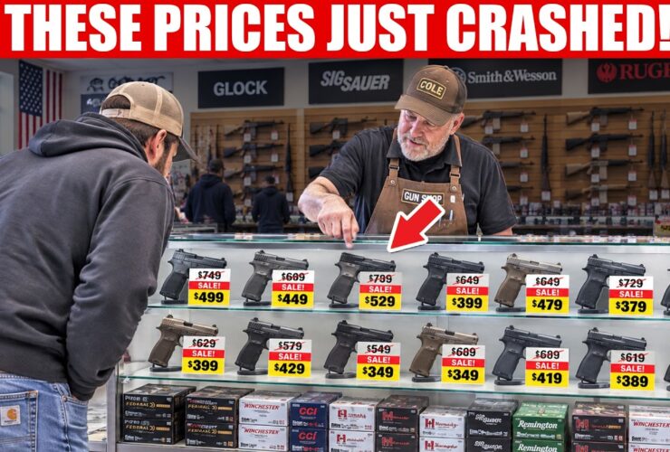 10 Guns That Just Got Price Cuts — The New Prices Are INSANE! 10 Guns That Just Got Price Cuts — The New Prices Are INSANE!