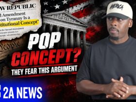 They Called Armed Resistance To Tyranny A Pop Concept… So You Don’t Need It