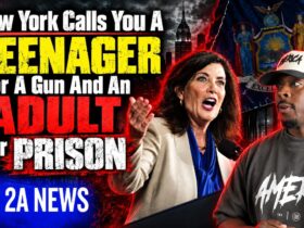 Handgun Ban Reveals Constitutional Crisis